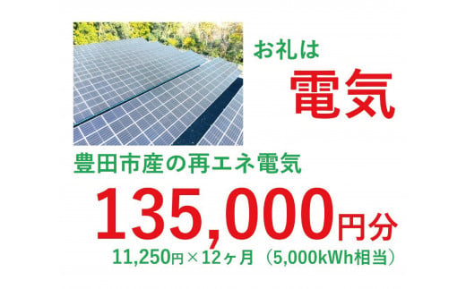 おいでんのでんき5,000kWh相当（135,000円分　毎月11,250円分×12ヶ月）【定期便：全12回】 1468469 - 愛知県豊田市