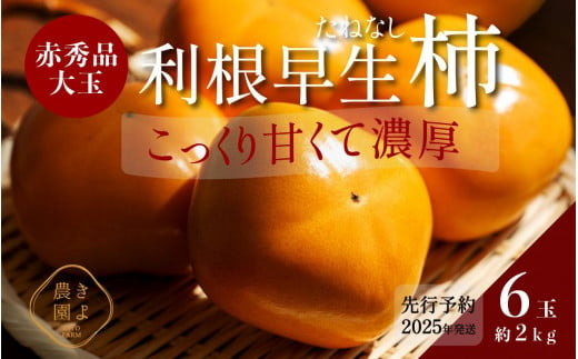 柿(種無し) 6個入 (約2kg)  秀品大玉【2025年9月下旬頃より発送】【KT1】 1399189 - 和歌山県和歌山市