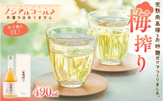 梅搾り（ノンアルコール）490ml / 紀州南高梅 梅干し 梅干 梅 うめ 梅ジュース 和歌山 田辺市 炭酸割り 紀州産 南高梅 完熟梅【isg027-1】 925132 - 和歌山県田辺市