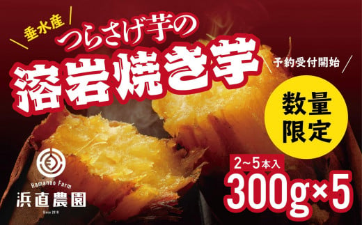 A1-5421／つらさげ芋の溶岩焼き芋　300g×5パック