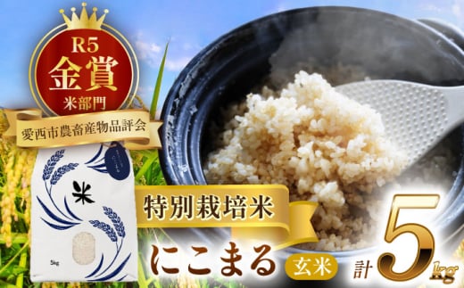 【5月発送】愛知県産にこまる 玄米5kg 特別栽培米 ご飯 玄米  愛西市 / 戸典オペレーター [AECT018-5] 1468881 - 愛知県愛西市