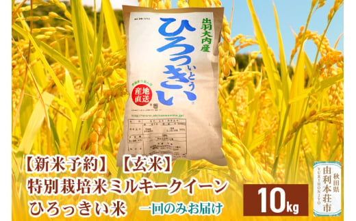 《新米予約》【玄米】秋田県産 ミルキークイーン 10kg 令和6年産 ひろっきい米 1468451 - 秋田県由利本荘市