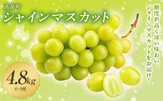 《先行予約》2024年 山形県 高畠町産 シャインマスカット 4.8kg( 6～9房) 2024年10月中旬から順次発送 ぶどう ブドウ 葡萄 マスカット 大粒 種なし 高級 くだもの 果物 フルーツ 秋果実 産地直送 農家直送 数量限定 F20B-995 1468674 - 山形県高畠町