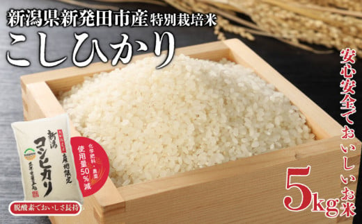 新米 令和6年産 特別栽培米 コシヒカリ 5kg 米 こめ ご飯 ごはん おいしい 新潟 新潟県 米 5kg コシヒカリ 新発田産 新潟産 朝食 昼食 夕飯 炊きたて 精米