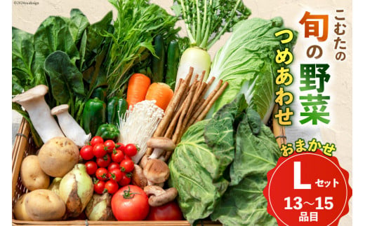 AI023【10～5月限定出荷】こむたの旬の野菜つめあわせ(13～15品目)おまかせ L セット 【 野菜 やさい 旬 種類 人気 オススメ 新鮮 詰め合わせ こむた 小無田 青果 長崎県 島原市 】