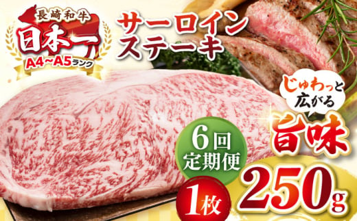 【全6回定期便】【A4〜A5ランク】長崎和牛 サーロインステーキ 250g（250g×1枚）《壱岐市》【株式会社MEAT PLUS】 肉 牛肉 黒毛和牛 サーロイン ステーキ ご褒美 ギフト 贈答用 ご褒美 冷凍配送 A4 A5 [JGH125] 1470184 - 長崎県壱岐市