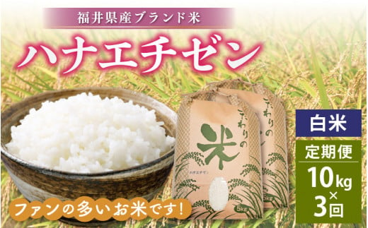 定期便≪3ヶ月連続お届け≫ハナエチゼン 10kg × 3回 令和6年 新米 福井県産【白米】【お米 はなえちぜん 華越前 計30キロ】 [e30-e003] 301292 - 福井県越前町