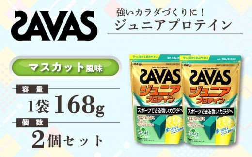 GJ86 明治 ザバス ジュニアプロテイン マスカット風味 168g（約12食分）【2個セット】【SAVAS ザバス プロテイン 人気プロテイン　明治プロテイン 健康 健康食品 美容 ボディメイク 体づくり 筋トレ 岡山県 倉敷市 人気 おすすめ】 1433742 - 岡山県倉敷市