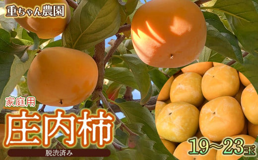 [令和6年産]庄内柿 たねなし柿 平核無柿 脱渋済み 家庭用 19〜23玉 山形県鶴岡市 重ちゃん農園