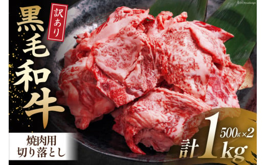 牛肉 訳あり 宮崎県産黒毛和牛 焼き肉用切り落とし 500g×2 計1kg[ウィズ・クリエイティブ 宮崎県 日向市 452060765] 冷凍 小分け 数量限定 不揃い 牛 和牛 黒毛和牛 切り落とし