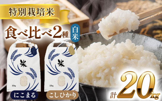 【12月発送】愛知県産 コシヒカリ・にこまる 白米 各10kg 特別栽培米 お米 ご飯 愛西市／戸典オペレーター  [AECT012-12] 1468816 - 愛知県愛西市