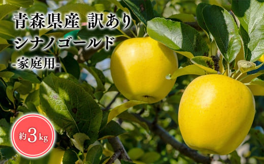 6月発送 訳あり 家庭用 甚八りんごシナノゴールド3kg [マルジンサンアップル 6月 青森県産 平川市 りんご シナノゴールド 3kg 訳あり 家庭用]