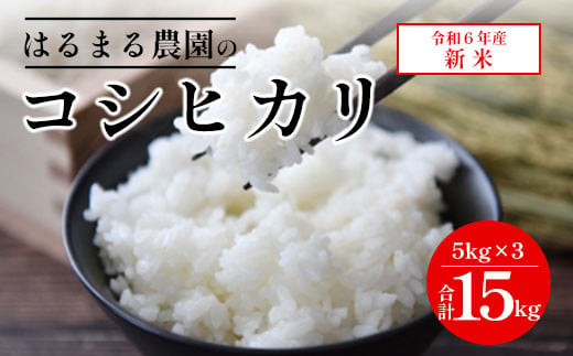 【令和6年産新米】京都丹波福知山産 はるまる農園のコシヒカリ 5kg×3 合計15kg ／9月中発送可 ふるさと納税 精米 米 こめ ご飯 ごはん 白米 コシヒカリ こしひかり 特別栽培米 FCCN011