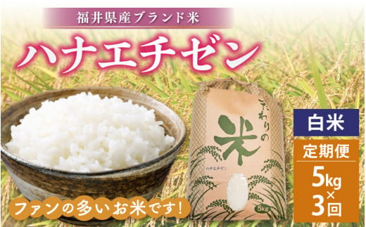 定期便≪3ヶ月連続お届け≫ハナエチゼン 5kg × 3回 令和6年 新米 福井県産【白米】【お米 はなえちぜん 華越前 計15キロ】 [e30-b008] 301293 - 福井県越前町