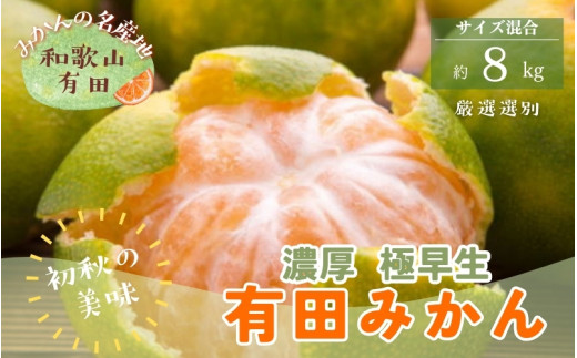 先行予約【初秋の美味】厳選!濃厚極早生有田みかん 約8kg【2024年10月中旬から順次発送予定】【ard051B】 765600 - 和歌山県串本町