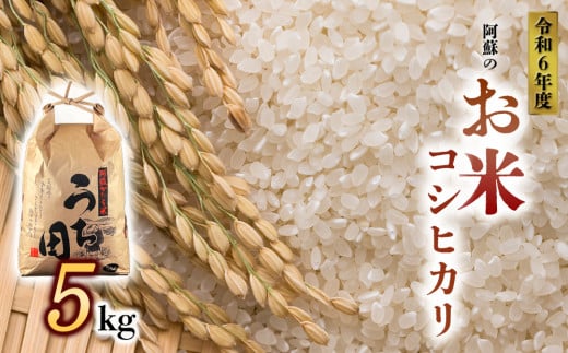 令和6年度産　内田農場の新米　コシヒカリ 5kg×1袋 白米 1467086 - 熊本県阿蘇市