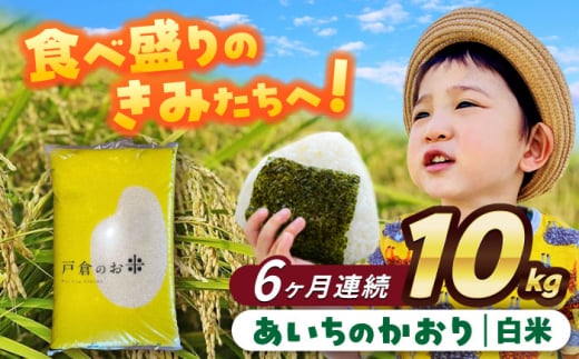 【6回定期便】 あいちのかおり　白米　10kg　お米　ご飯　愛西市／株式会社戸倉トラクター [AECS008] 1456527 - 愛知県愛西市