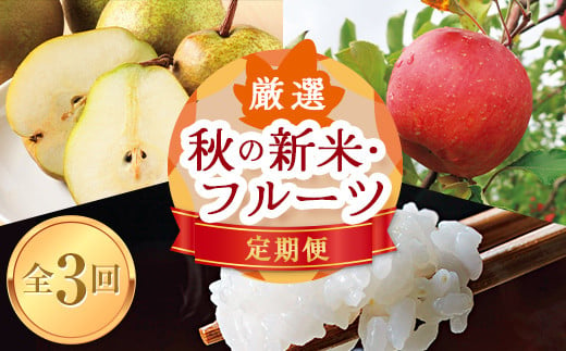 《先行予約 2025年10月発送開始》山形県の至高！ 山形県厳選 秋の新米・フルーツ定期便B 全3回  つや姫 米 お米 ブランド米 銘柄米 備蓄 日本米 コメ ごはん ご飯 食品 山形県 FSY-1818 1518103 - 山形県山形県庁