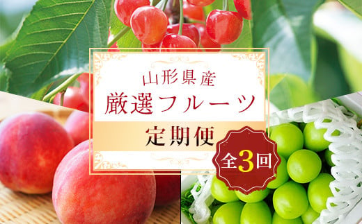 《先行予約 2025年5月発送開始》 山形県の至高！ 山形県厳選 フルーツ定期便 全3回 FSY-1813 1518098 - 山形県山形県庁