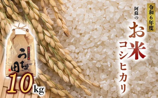 令和6年度産　内田農場の新米　コシヒカリ10kg 5kg×2袋 白米 1467810 - 熊本県阿蘇市