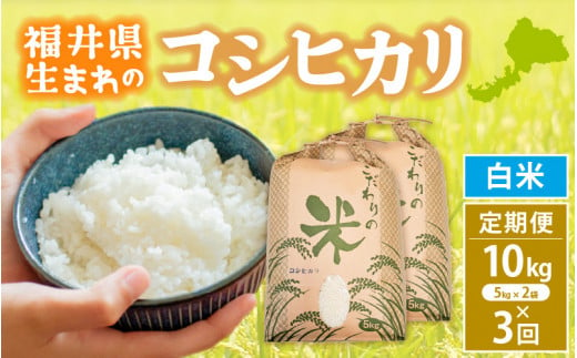 定期便≪3ヶ月連続お届け≫コシヒカリ 10kg × 3回 令和6年 新米 福井県産【白米】【お米 こしひかり 計30キロ 人気品種】 [e30-e005] 301291 - 福井県越前町