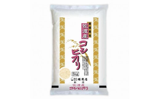 【定期便】佐渡産コシヒカリ 5kg×6回 令和6年米 1468449 - 新潟県佐渡市