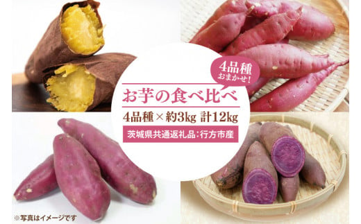 【先行予約】お芋の食べ比べ さつまいも 4品種×約3㎏ 計12㎏（茨城県共通返礼品：行方市産）※2024年10月上旬～2025年3月下旬頃に順次発送予定（CD089）