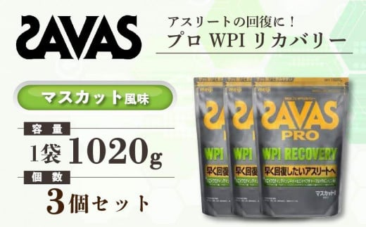 GJ226 明治 ザバス プロ WPI リカバリー マスカット風味 1020g 【3袋セット】【SAVAS ザバス プロテイン 人気プロテイン　明治プロテイン 健康 健康食品 美容 ボディメイク 体づくり 筋トレ 岡山県 倉敷市 人気 おすすめ】 1418163 - 岡山県倉敷市