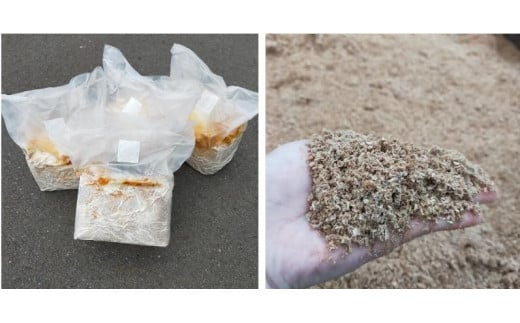 【カブトムシ・クワガタ】深山農園の レイシ菌糸ブロック クヌギ・微粒子 8個 1468352 - 兵庫県相生市