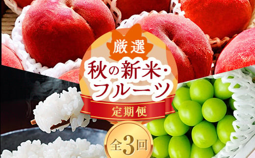 《先行予約 2025年8月発送開始》 山形県の至高！ 山形県厳選 新米・フルーツ定期便 全3回  マスカット ぶどう ブドウ 葡萄 デザート フルーツ 果物 くだもの 果実 食品 山形県 FSY-1816 1518101 - 山形県山形県庁