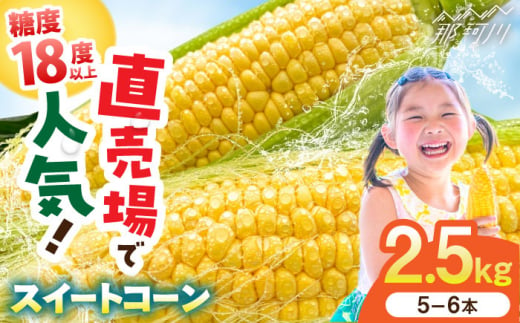 【5月末より発送】朝採れ スイートコーン 約2.5kg（5~6本入り）とうもろこし ＜ちくし農園＞那珂川市 [GDU002]