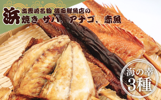 磯田鮮魚店の浜焼き「3種セット」（さば・あなご・赤魚　各1束　計3束）