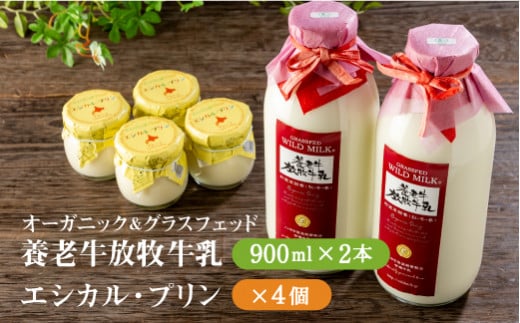 オーガニック＆グラスフェッド養老牛放牧牛乳900ml×2本とエシカル・プリン×4個セット