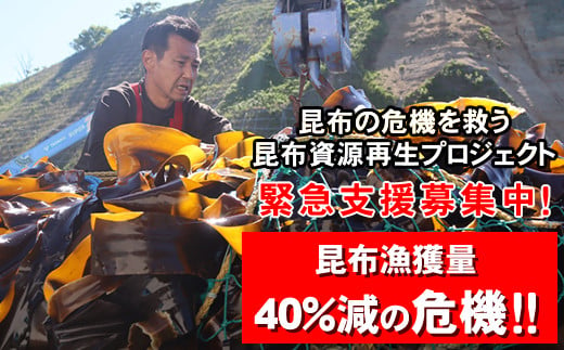 雑海藻から海を守り、日本の食文化である昆布の漁場の再生支援寄附 [1口 1,000円 より] | 返礼品なし 緊急支援 昆布 こんぶ 北海道 釧路町 釧路超 特産品