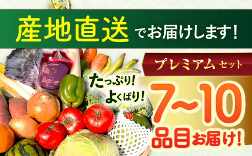 【プレミアム】 野菜 果物 きのこ 詰め合わせ 7〜10品目 旬 新鮮 セット