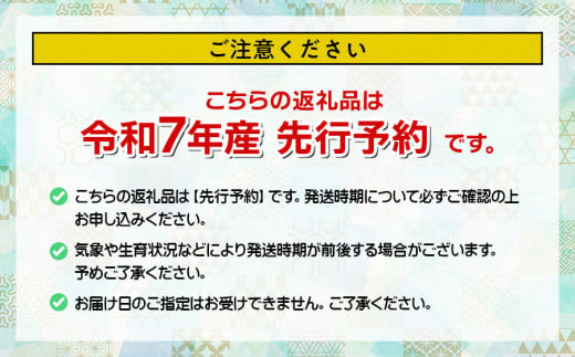 山形県鶴岡市のふるさと納税 【令和7年産先行予約】 デラウェア 約1kg（5～6房） 山形県 鶴岡市産 ヤマトク