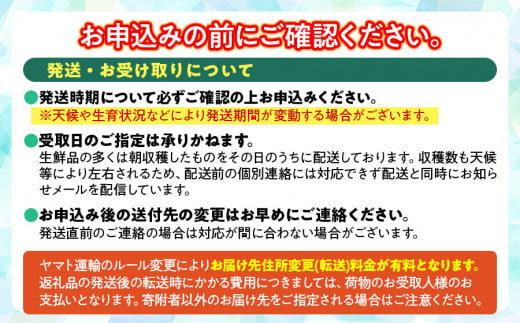 山形県鶴岡市のふるさと納税 【令和7年産先行予約】 デラウェア 約1kg（5～6房） 山形県 鶴岡市産 ヤマトク