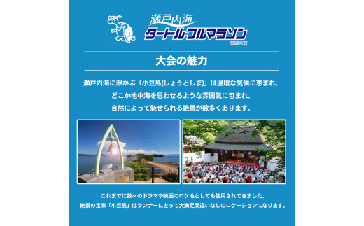 第43回瀬戸内海タートル・フルマラソン全国大会参加権 1名様（フルの部） マラソン 瀬戸内 小豆島 フル 参加権 タートルマラソン 土庄 -  香川県土庄町｜ふるさとチョイス - ふるさと納税サイト