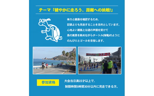 第43回瀬戸内海タートル・フルマラソン全国大会参加権 1名様（フルの部） マラソン 瀬戸内 小豆島 フル 参加権 タートルマラソン 土庄 -  香川県土庄町｜ふるさとチョイス - ふるさと納税サイト