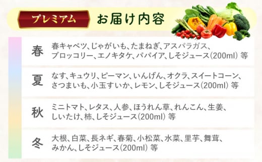 【プレミアム】 野菜 果物 きのこ 詰め合わせ 7〜10品目 旬 新鮮 セット