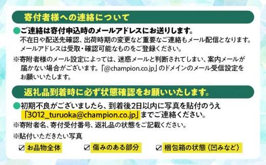 山形県鶴岡市のふるさと納税 【令和7年産先行予約】 デラウェア 約1kg（5～6房） 山形県 鶴岡市産 ヤマトク