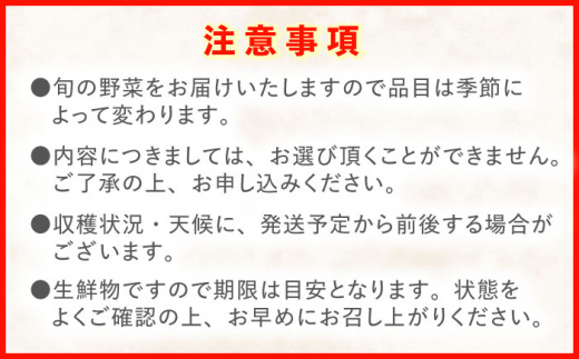 【プレミアム】 野菜 果物 きのこ 詰め合わせ 7〜10品目 旬 新鮮 セット