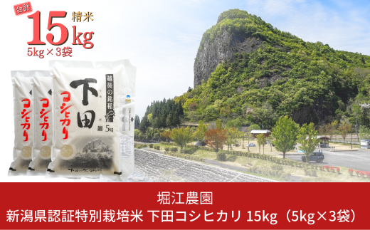 新潟県認証特別栽培米 下田コシヒカリ 15kg 令和6年産 三条市産 こしひかり [堀江農園]【030S050】 1131580 - 新潟県三条市