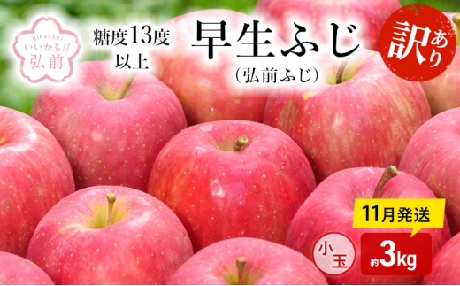 りんご 【 11月発送 】( 糖度13度以上 ) 訳あり 早生ふじ ( 弘前ふじ ) 小玉りんご 約 3kg 【 弘前市産 青森りんご 】 1471676 - 青森県弘前市