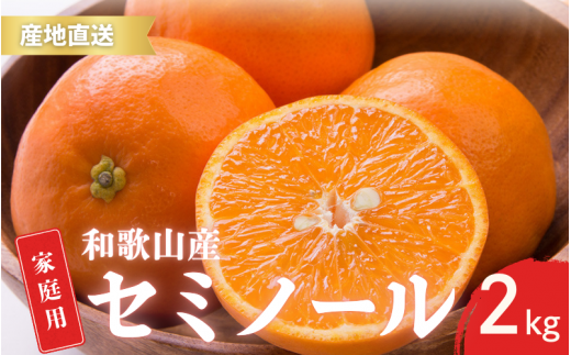 【先行予約】ご家庭用 セミノール  和歌山 有田  S～2Lサイズ 大きさお任せ 2kg【4月下旬～5月下旬頃に順次発送】/ みかん フルーツ 果物 くだもの 蜜柑 柑橘【ktn026】 1470289 - 和歌山県古座川町