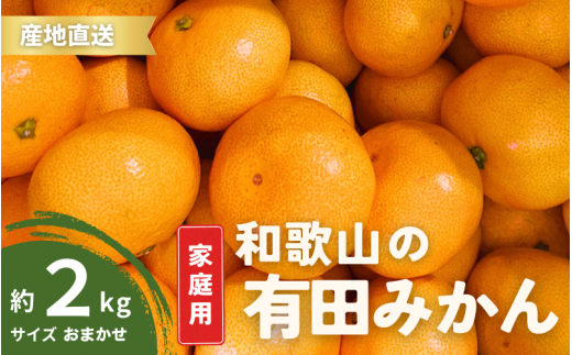 【11月発送】  ご家庭用 有田みかん 和歌山 S～Lサイズ 大きさお任せ 2kg  / みかん フルーツ 果物 くだもの 有田みかん 蜜柑 柑橘【ktn005-11】 1470726 - 和歌山県紀美野町