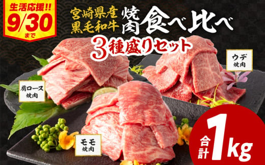 [2024年12月発送]宮崎県産 黒毛和牛 肩ロース・モモ 焼肉 各300g×1 ウデ400g×1 合計1kg_M132-030-UP-dec