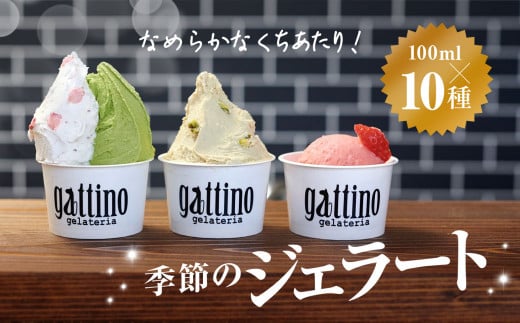 gelateria gattino 季節のジェラートおすすめ10種セット /A