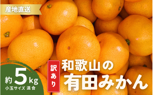 家庭用 訳あり 有田みかん 和歌山  小玉(2S,3Sサイズ混合) 5kg【10月上旬～1月下旬頃に順次発送】/ みかん フルーツ 果物 くだもの 有田みかん 蜜柑 柑橘【ktn010A】 1527187 - 和歌山県すさみ町