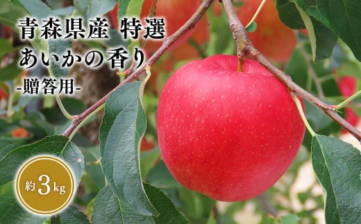 11〜12月発送 特選 甚八りんごあいかの香り3kg [マルジンサンアップル 11月 12月 青森県産 平川市 りんご あいかの香り 3kg 特選 贈答用]